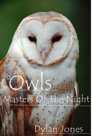 Cover of the book Owls by Denise Wasko