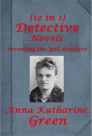 Book cover of The Girl Detective Mystery Novels