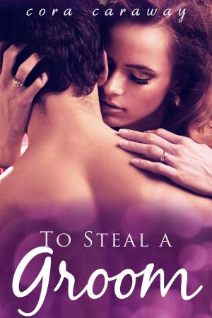 Cover of the book To Steal a Groom by Quinn Michaels