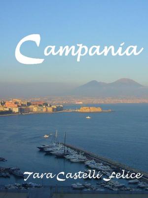 Book cover of Kampanien - die Region von Neapel