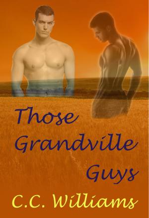 Book cover of Those Grandville Guys
