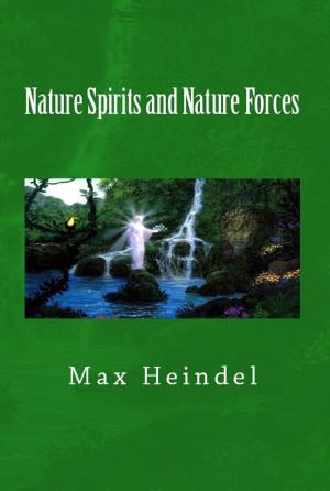 Book cover of Nature Spirits and Nature Forces