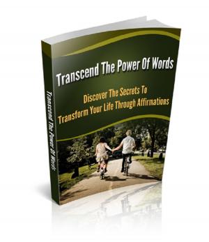 Cover of the book Transcend The Power Of Words by Christopher G. Bremicker