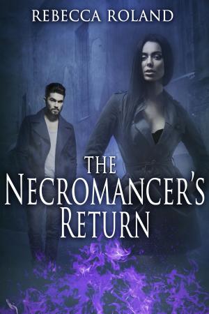 bigCover of the book The Necromancer's Return by 