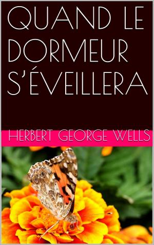 Cover of the book QUAND LE DORMEUR S’ÉVEILLERA by Audrey Driscoll