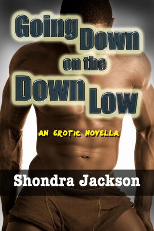 Cover of the book Going Down on the Down Low: A Married Black Man, His Wife, & His White Male Lover by Dirk Longdon
