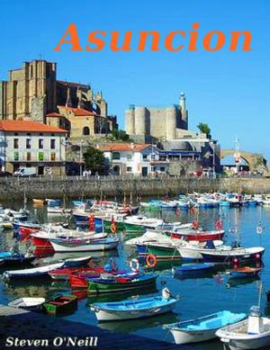 Cover of the book Asuncion by Steven O'Neill