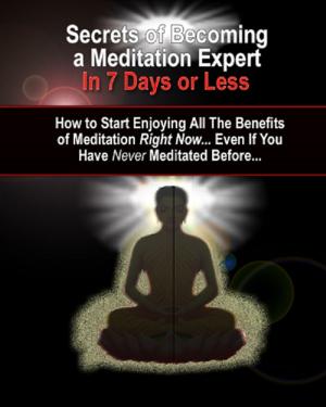 Cover of the book Secrets of Becoming a Meditation Expert by Clara Wiggins