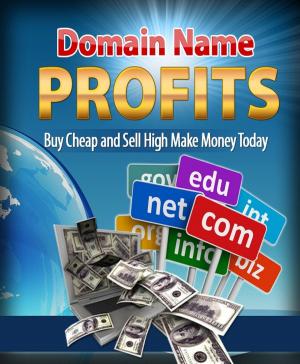 Cover of the book Domain Name Profits by Victor Hugo