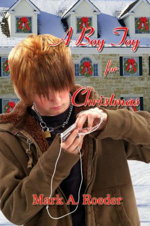 Cover of the book A Boy Toy for Christmas by Kate Walker