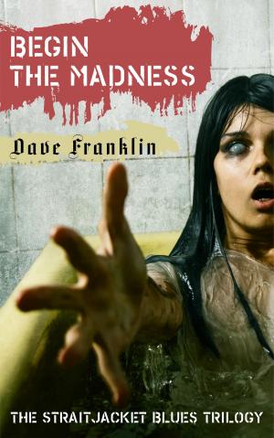 Cover of the book Begin The Madness: The Straitjacket Blues Trilogy by Dave Franklin