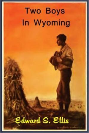 Cover of the book Two Boys in Wyoming by Edward L. Wheeler