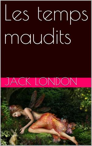 Cover of Les temps maudits