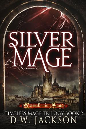 Cover of the book Silver Mage by Joshua Robertson