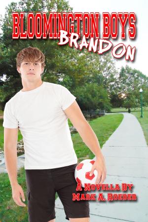 Book cover of Bloomington Boys: Brandon