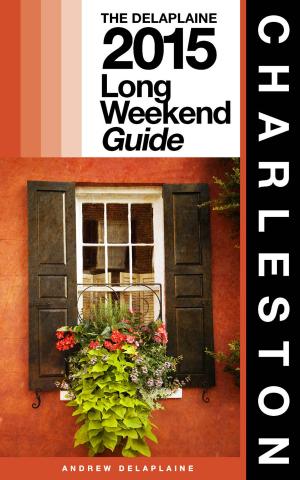 Book cover of CHARLESTON - The Delaplaine 2015 Long Weekend Guide