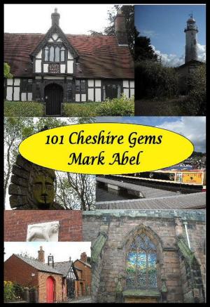 Cover of the book 101 Cheshire Gems by Chris Sylvester