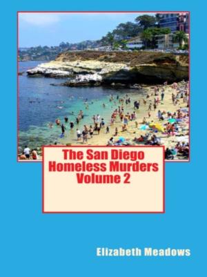 Cover of The San Diego Homeless Murders Volume 2