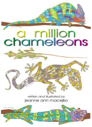 Cover of the book A Million Chameleons by E. G. Walker