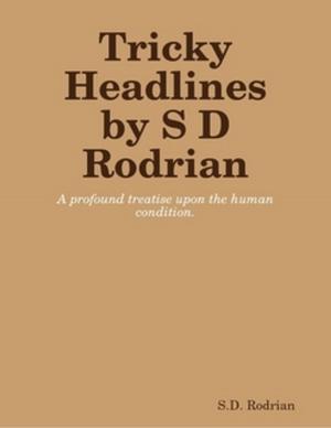 Book cover of Tricky Headlines 1 / S D Rodrian