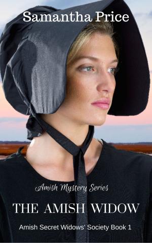 Cover of the book The Amish Widow by Samantha Price