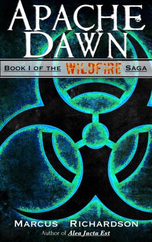 Cover of the book Apache Dawn by Scott Gordon
