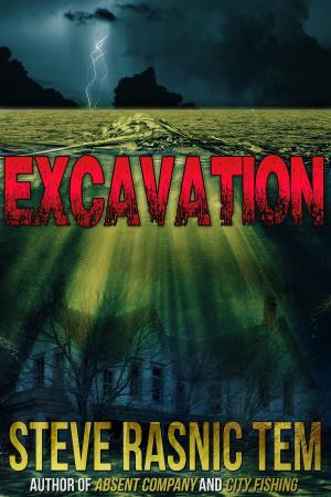 Book cover of Excavation