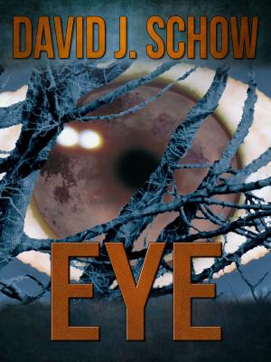Cover of the book Eye by Bill Crider