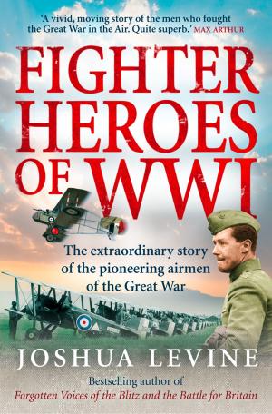 Cover of the book Fighter Heroes of WWI: The untold story of the brave and daring pioneer airmen of the Great War (Text Only) by Stacy Gregg