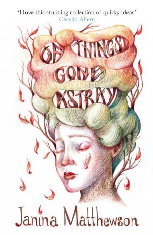 Cover of the book Of Things Gone Astray by Sherry Ashworth