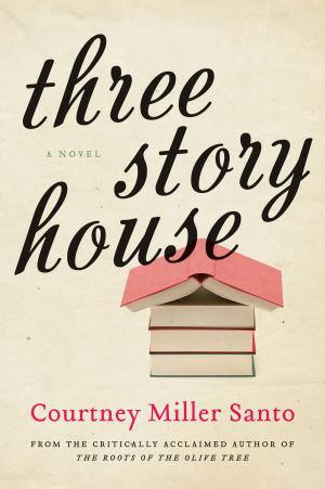 Cover of the book Three Story House by Faye Kellerman