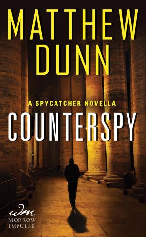 Cover of the book Counterspy by Rob Lee