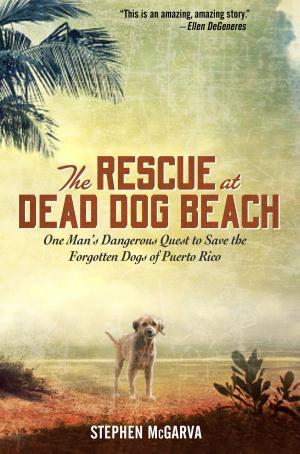 Cover of the book The Rescue at Dead Dog Beach by John E. Douglas, Mark Olshaker