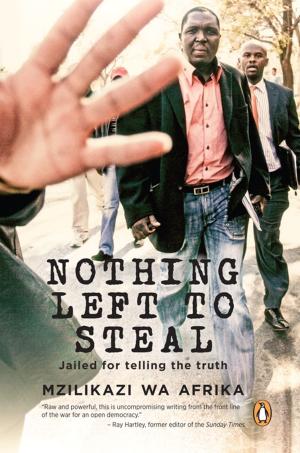 Cover of the book Nothing Left to Steal by Pierre Spies