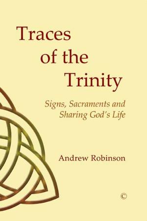 Book cover of Traces of the Trinity
