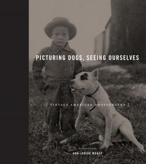 Cover of the book Picturing Dogs, Seeing Ourselves by Clare Chambers