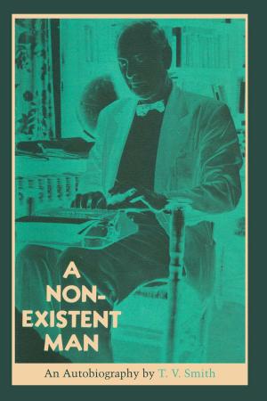 Book cover of A Non-Existent Man