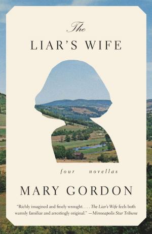 Book cover of The Liar's Wife