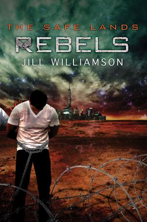 Cover of the book Rebels by Jonathan Friesen