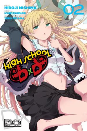 Book cover of High School DxD, Vol. 2