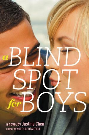Cover of the book A Blind Spot for Boys by Mordicai Gerstein