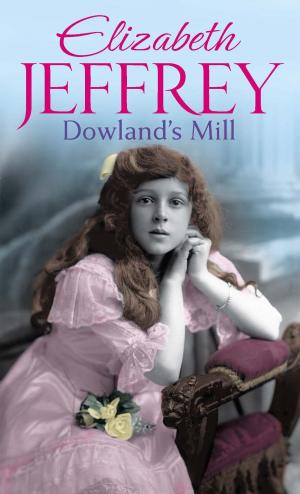 Cover of the book Dowland's Mill by John Gribbin, Mary Gribbin