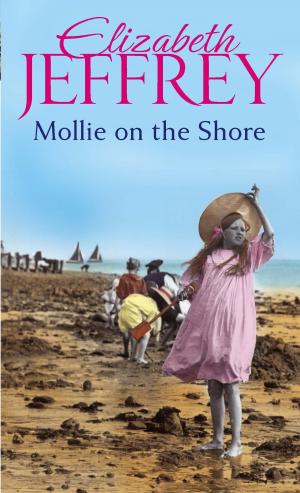 Book cover of Mollie On The Shore