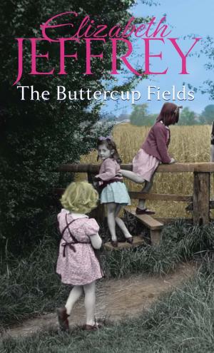 bigCover of the book The Buttercup Fields by 