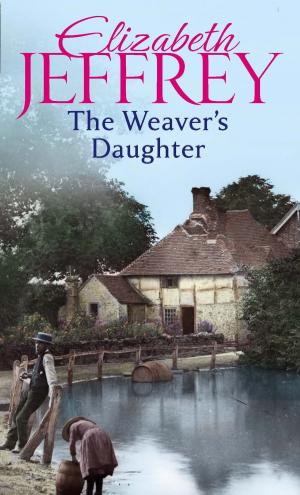 Book cover of The Weaver's Daughter