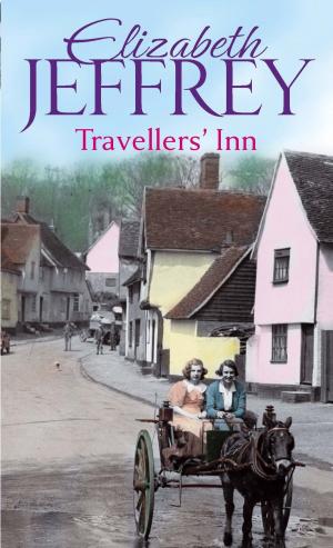 Cover of the book Travellers' Inn by Brett Anderson