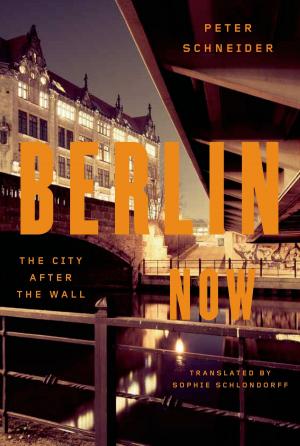 Cover of the book Berlin Now by Philip Hensher