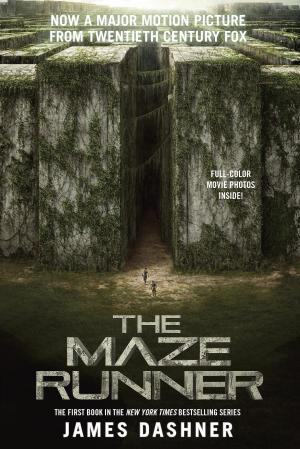 Cover of the book The Maze Runner Movie Tie-In Edition (Maze Runner, Book One) by Suzanne Lang