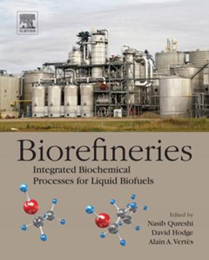 Cover of the book Biorefineries by Reza Jamali