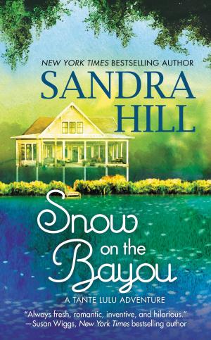 Cover of the book Snow on the Bayou by Chantelle Azach